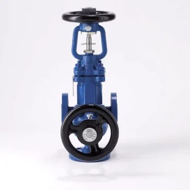 3Spirax Sarco Zawór odcinający z dławnicą mieszkową z podwójnym odcięciem i spustem DBB3 foto2