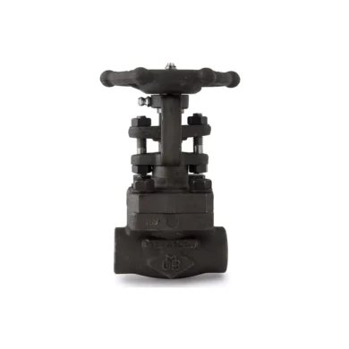 Spirax Sarco Zawory odcinające z dławnicą mieszkowa foto1